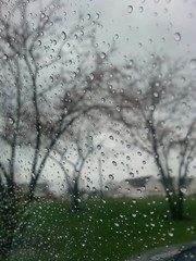Rain drops on a window.