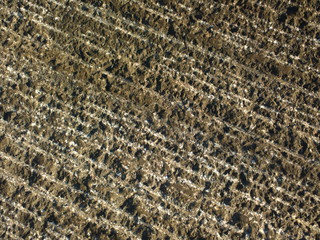 Construction zone, old asphalt texture