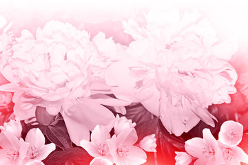Panele Szklane Podświetlane  Floral background.