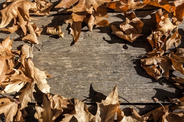 Fall leaves on rustic wooden background. Background image