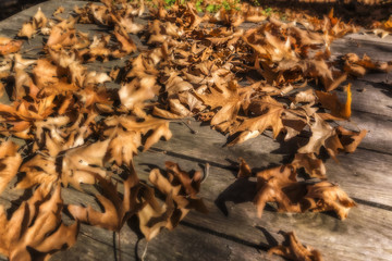 Fall leaves on rustic wooden background. Background image
