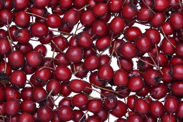 Closeup of fresh hawthorn fruits