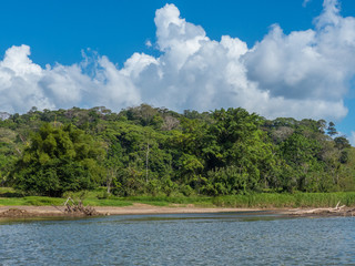 Rain Forest in San Carlos Costa Rica