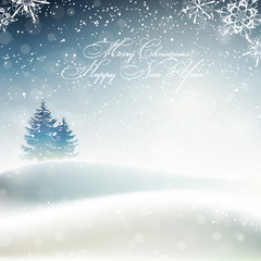 Merry Christmas and Happy New Year card with frosty winter landscape, vector