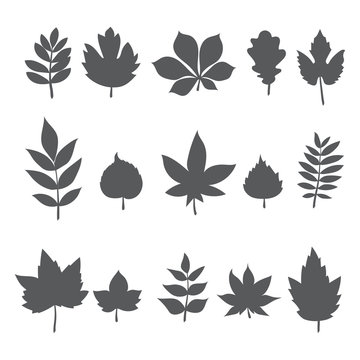 Silhouettes of tree leaves. Autumn leaf collection