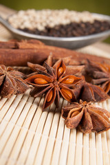 Star anise and cinnamon sticks in the background