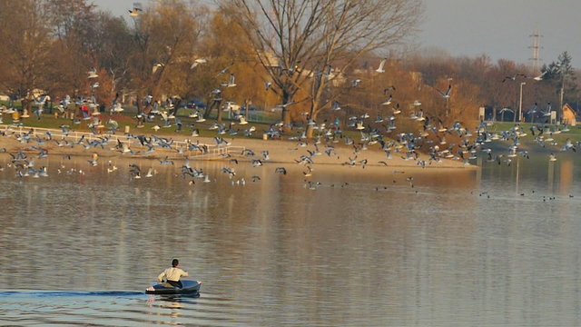 Rowers in kayaks paddling lake 