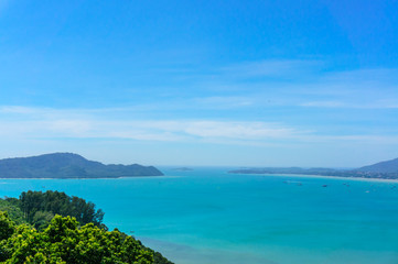 Coast of Phuket. Thailand, Tree in front view