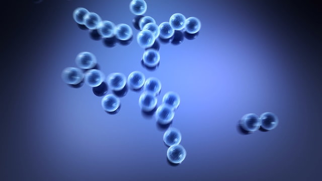 Animation showing bacterias, microorganism or molecules reproduction. HD