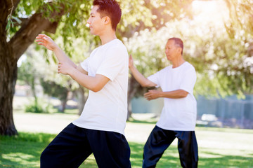 People practicing thai chi in park