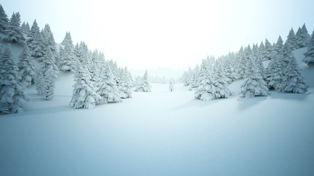 Animation of the white snowy winter landscape below the cloudless sky. HD