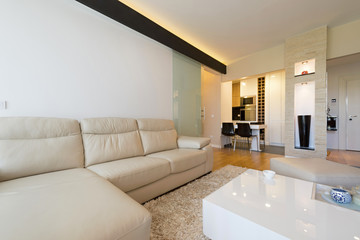 Living room interior