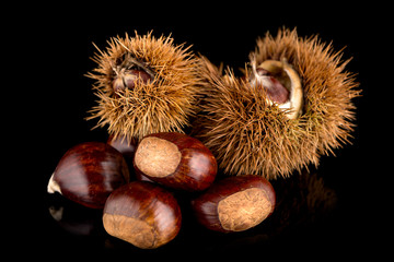Chestnuts on a black reflective background