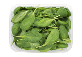 fresh spinach tray