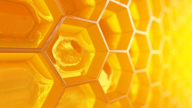 A fragment of the honeycomb with full cells closeup animation. Loopable. HD