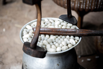 Traditional draw a silk from cocoons