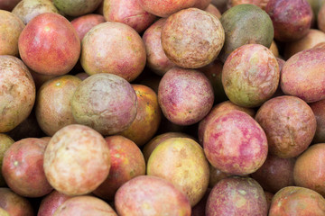 Passiflora foetida fruit, passion fruit