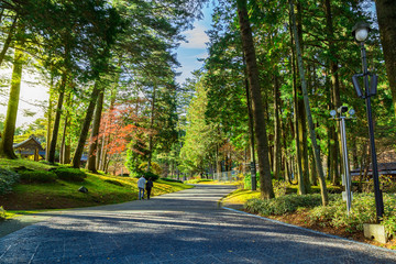 Tamozawa Imperial Villain Nikko, Japan