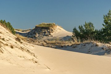 Leba dunes - UNESCO National Park. Famous place in Poland.nature