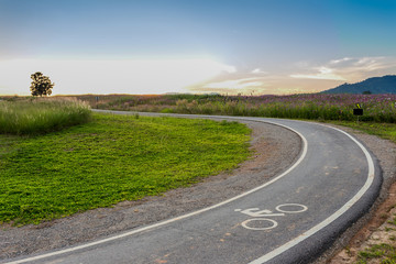 Bike path and Beautiful flowers