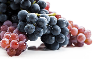 Collection of Fresh Grapes on Bright Backgroup Up Close