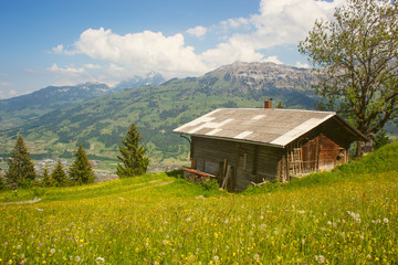 Fototapeta premium Alphütte im Berner Oberland
