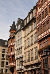 römer in frankfurt am main