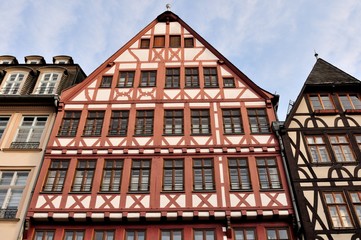 römer in frankfurt am main