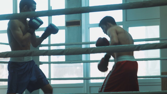 Training sparring of two boxers on a ring