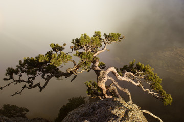 Autumn day in the mountains