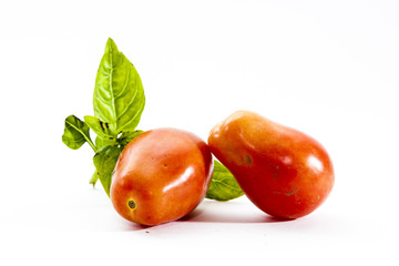 Farm Fresh Organic Roma Tomatoes and Organic Basil Leaf
