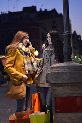 Obraz premium friends going shopping