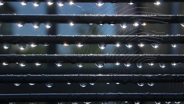 rain in the morning