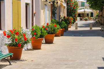 Fototapeta na wymiar Decorative pots with red hibiscus flowers on the street of Itali