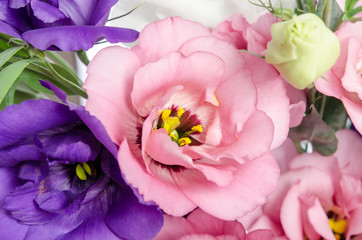 pink eustoma flower in bunch