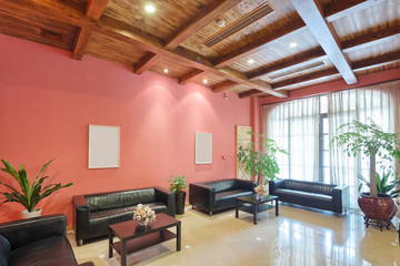 decoration and furniture of lounge