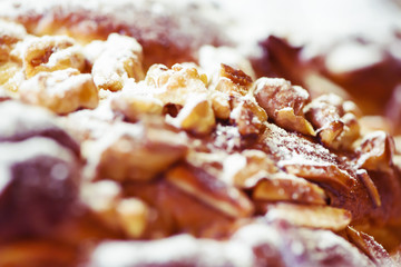 Christmas Cake Closeup