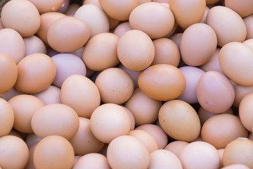 Fresh eggs background