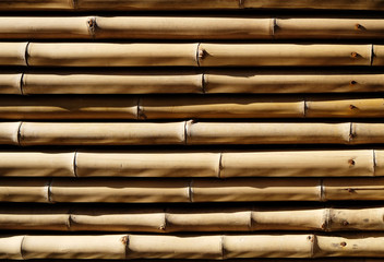 the bamboo texture