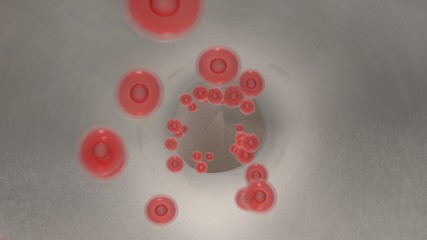 Endoscopic view of flowing red blood cells in a graft