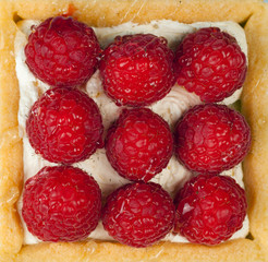 raspberries shortcake