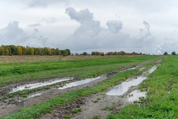 Country dirt road after the rain