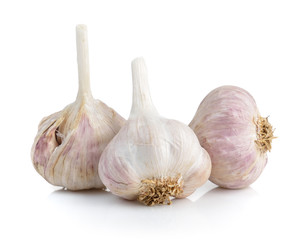 garlic on white background