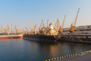 Fototapeta premium Cargo ships unloading at the port terminal. Odessa, Ukraine