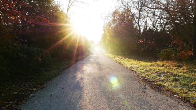 4K Misty Autumn Morning Sunrise in Rural Area