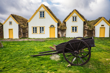 Fototapeta na wymiar Traditional viking house