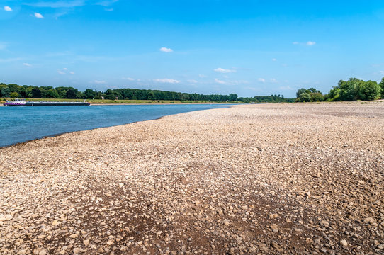 am Rhein bei Uedesheim - Niedrigwasser 02