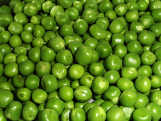 Fresh Green Peas