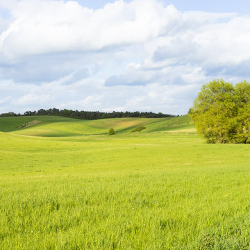 Landschaft in der Uckermark