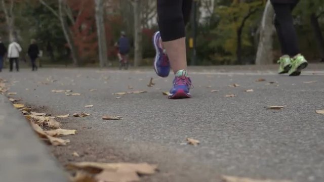 Pedestrians Walk, Jog And Bike Through Central Park